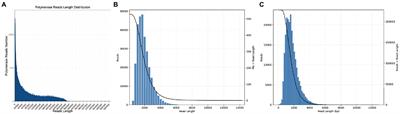 Transcript Complexity and New Insights of Restorer Line in CMS-D8 Cotton Through Full-Length Transcriptomic Analysis